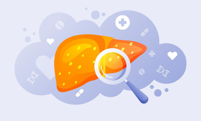 تأثیر دستگاه‌های لاغری بر درمان کبد چرب